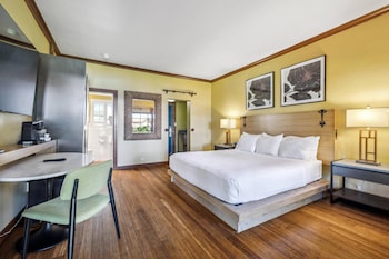Room, 1 King Bed, Non Smoking