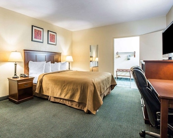 Standard Room, 1 King Bed, Accessible, Non Smoking (Roll-In Shower)