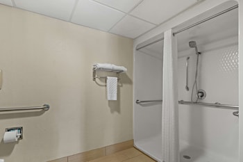 Standard Room, 1 King Bed, Accessible, Non Smoking (Walk-in Shower)
