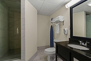 Suite, 1 King Bed, Non Smoking (with Sofabed)