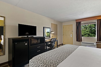 Standard Room, 1 King Bed, Accessible, Non Smoking (Walk-in Shower)