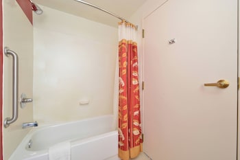 Room, 1 King Bed with Sofa bed