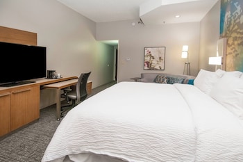 Room, 1 King Bed with Sofa bed