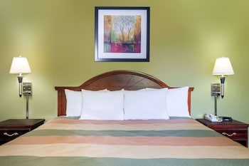 Studio Suite, 1 King Bed, Smoking