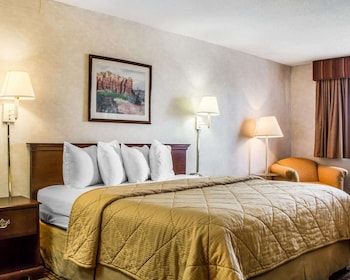Standard Room, 1 King Bed, Non Smoking