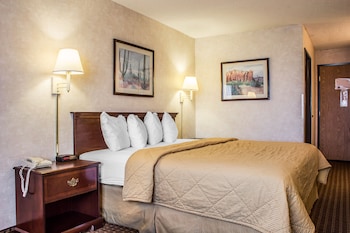 Standard Room, 1 King Bed, Non Smoking