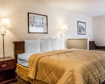 Suite, 1 King Bed with Sofa bed, Non Smoking