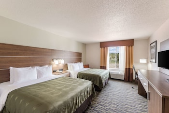 Standard Single Room, 1 King Bed