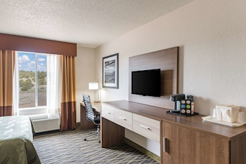 Standard Room, 1 King Bed, Roll-in Shower, Accessible, 1st Floor, Non-Smoking