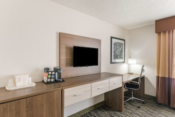 Standard Single Room, 1 King Bed