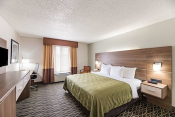 Standard Single Room, 1 King Bed