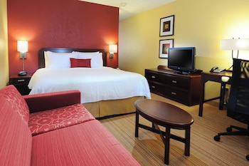 Room, 1 King Bed with Sofa bed
