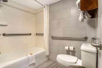 Standard Room, 2 Queen Beds, Accessible, Refrigerator & Microwave (Refrigerator & Microwave)