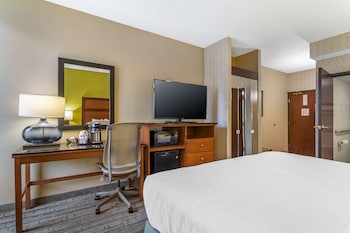 Standard Room, 1 King Bed, Accessible, Refrigerator & Microwave (Refrigerator & Microwave)