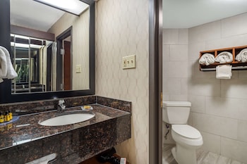 Standard Room, 1 King Bed, Non Smoking, Refrigerator & Microwave