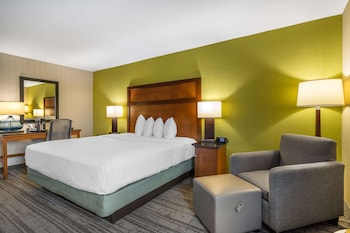 Standard Room, 1 King Bed, Non Smoking, Refrigerator & Microwave