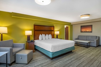 Standard Room, 1 King Bed with Sofa bed, Non Smoking, Refrigerator & Microwave (with Sofabed)