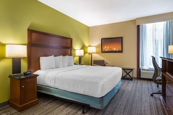 Standard Room, 1 King Bed, Accessible, Refrigerator & Microwave (Refrigerator & Microwave)