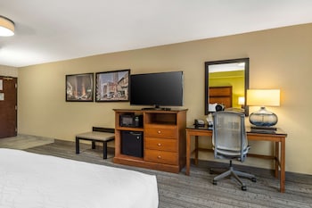 Standard Room, 1 King Bed with Sofa bed, Non Smoking, Refrigerator & Microwave (with Sofabed)