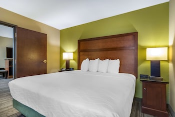 Suite, 1 King Bed with Sofa bed, Non Smoking, Refrigerator & Microwave (with Sofabed)