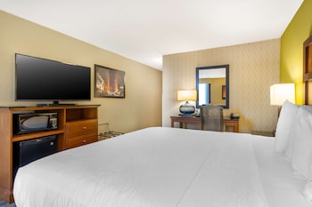 Standard Room, 1 King Bed, Non Smoking, Refrigerator & Microwave