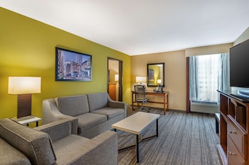 Suite, 1 King Bed with Sofa bed, Non Smoking, Refrigerator & Microwave (with Sofabed)