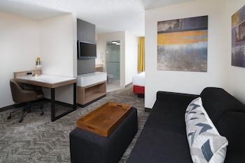 Suite, 1 King Bed with Sofa bed