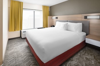 Suite, 1 King Bed with Sofa bed