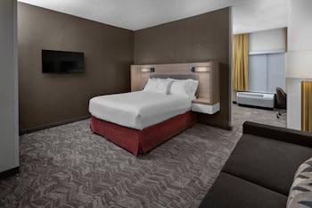Suite, 1 Queen Bed