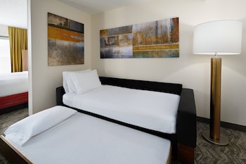Suite, 1 King Bed with Sofa bed