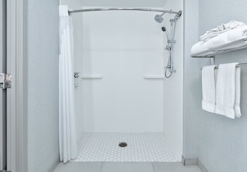 Suite, 1 King Bed, Roll-in Shower (Mobility Accessible)