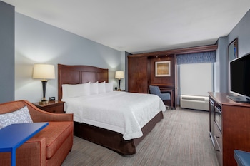 Room, 1 King Bed