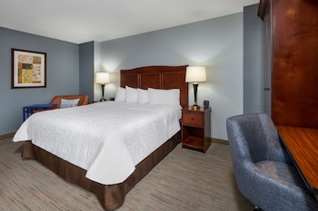 Room, 1 King Bed