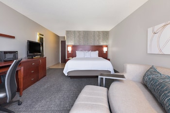 Room, 1 King Bed with Sofa bed