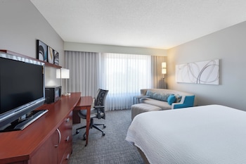 Room, 1 King Bed with Sofa bed