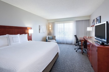 Room, 1 King Bed with Sofa bed
