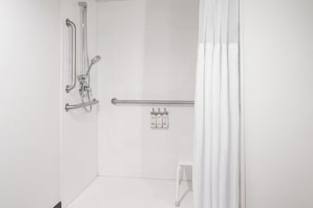 Standard Room, 1 King Bed, Roll-in Shower (Communications, Mobility)