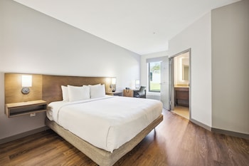 Room, 1 King Bed with Sofa bed, Accessible (Roll-in Shower)