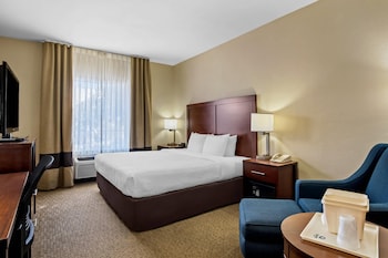Suite, 1 King Bed with Sofa bed, Accessible, Non Smoking