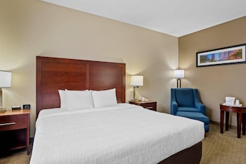 Suite, 1 King Bed with Sofa bed, Accessible, Non Smoking