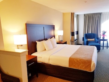 Suite, 1 King Bed with Sofa bed, Non Smoking