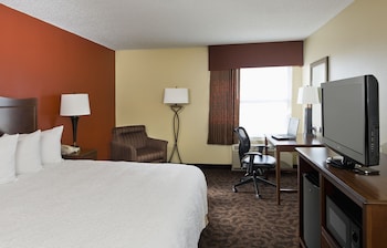 Room, 1 King Bed, Accessible, Non Smoking