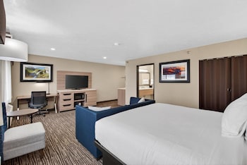 Executive Room, 1 King Bed, Non Smoking, Refrigerator
