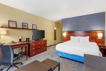 Standard Room, 1 King Bed, Non Smoking, Refrigerator (with Sofabed)