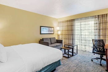 Standard Room, 1 King Bed, Non Smoking, Refrigerator (with Sofabed)