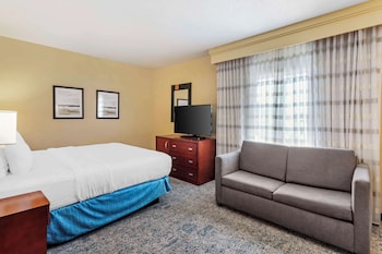 Suite, 1 King Bed, Non Smoking (with Sofabed)