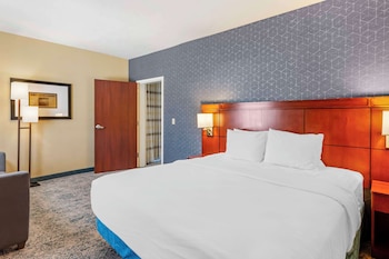 Suite, 1 King Bed, Non Smoking (with Sofabed)