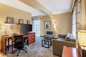 Suite, 1 King Bed, Non Smoking (with Sofabed)
