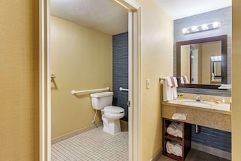 Standard Room, 1 King Bed, Accessible, Refrigerator
