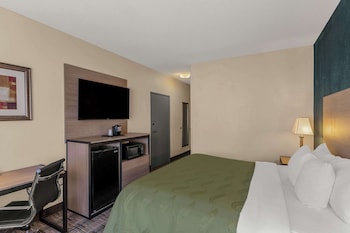 Room, 1 King Bed, Accessible, Non Smoking